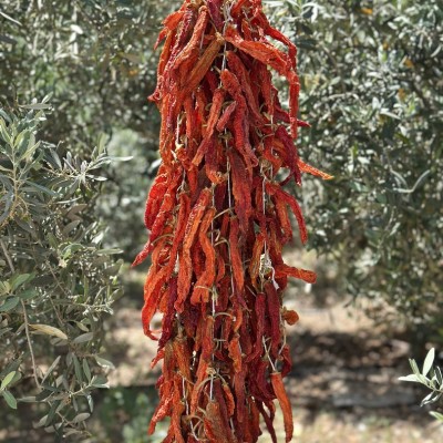 Doğal Kurutulmuş Az Acı Sivri Biber – Hafif Acı ve Geleneksel Lezzet (~30–35 Adet)